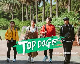 51爆料最新《TOP DOG》免费在线观看