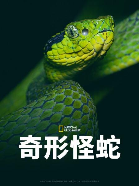 51爆料网《奇形怪蛇》免费在线观看